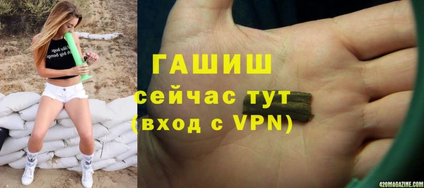 стаф Балахна
