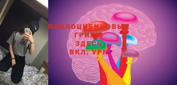 стаф Балахна