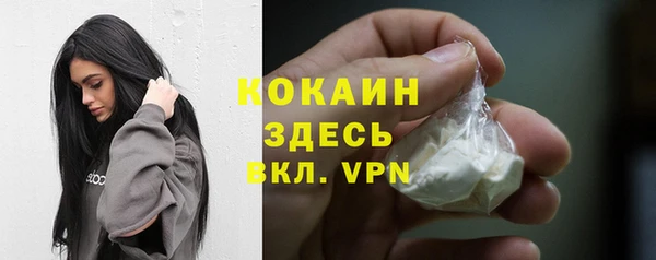 сатива Баксан
