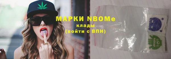 стаф Балахна