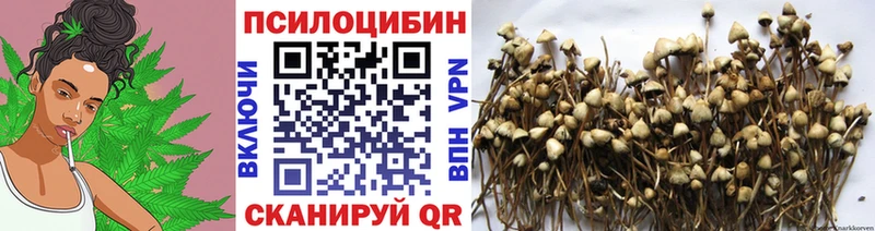 Псилоцибиновые грибы ЛСД  Знаменск 